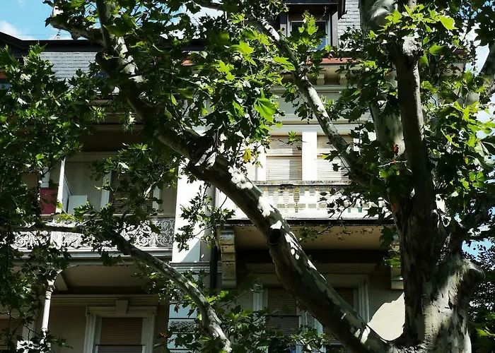 Apartment Spazioso E Accogliente Nel Centro Di